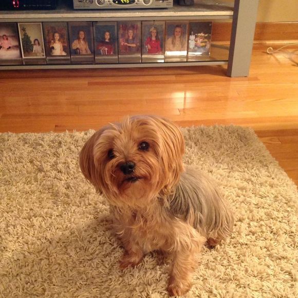 Meet your Posher, Monique - Picture 1 of 1